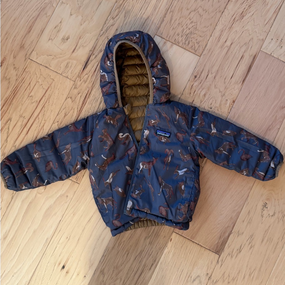 Patagonia down sweater hoody